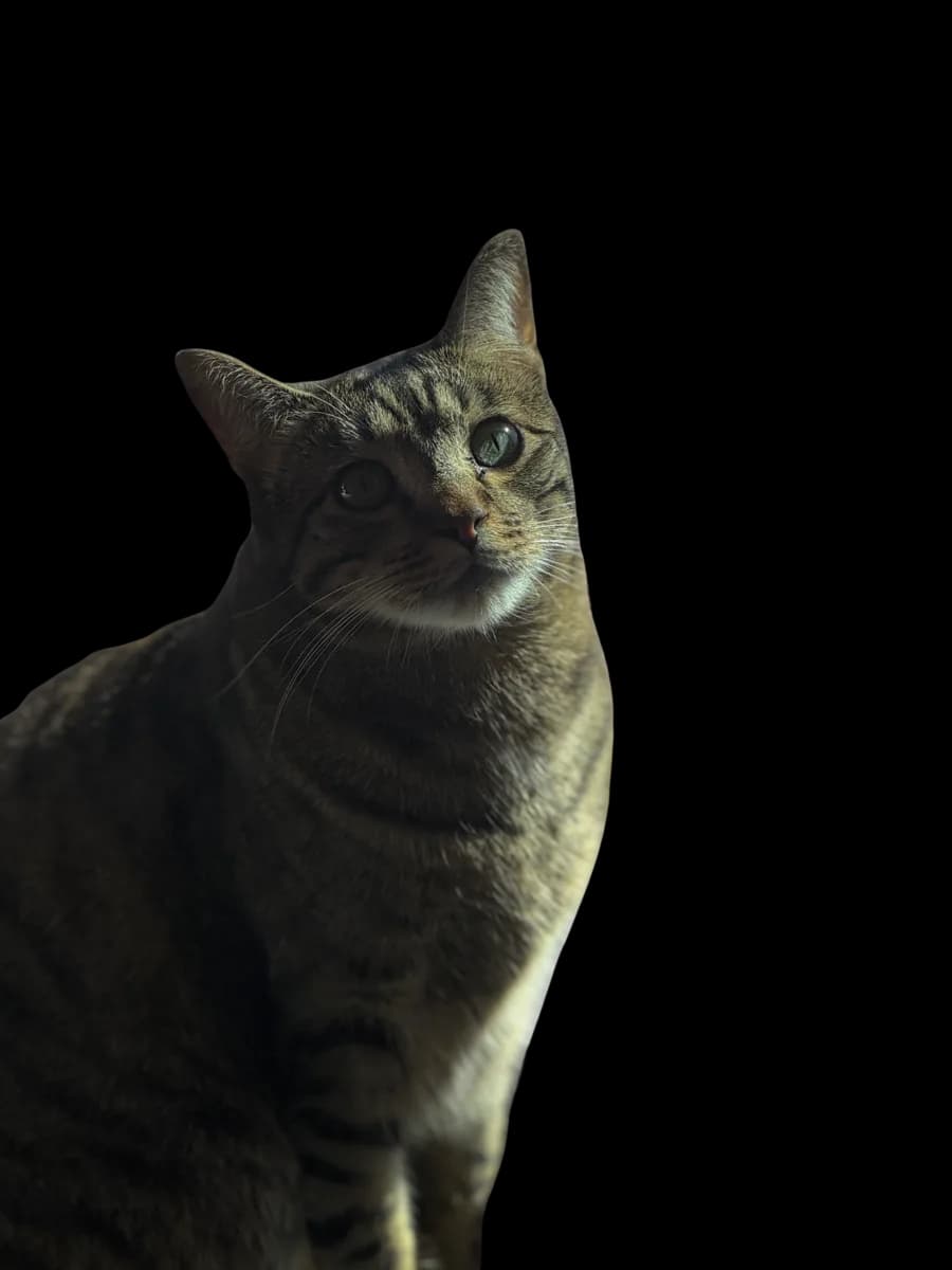Bubby considering you